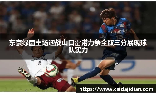 东京绿茵主场迎战山口雷诺力争全取三分展现球队实力